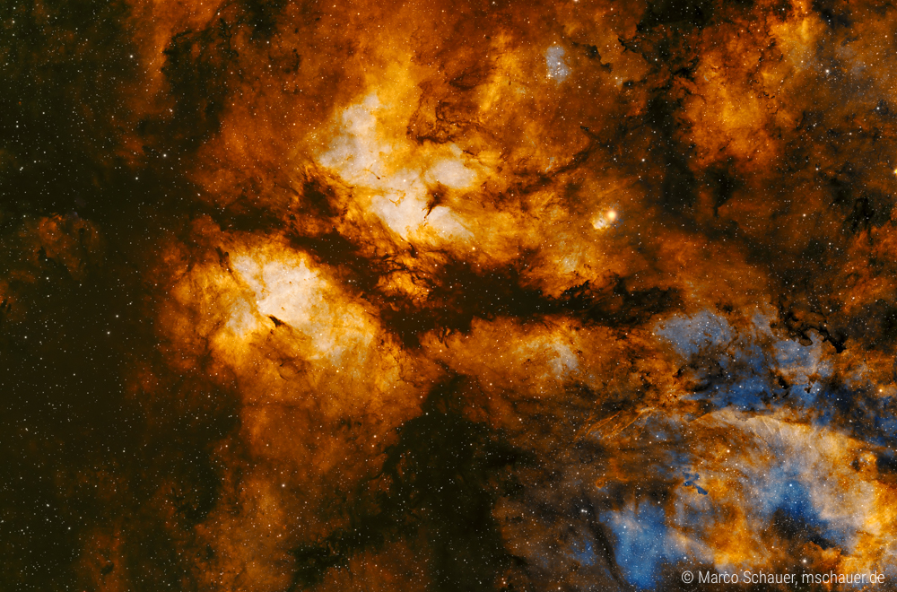 IC 1318 Butterfly nebula Sadr