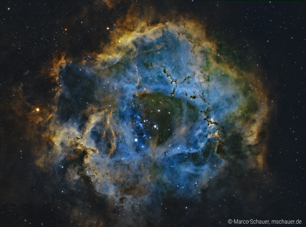 Rosetta nebula, Caldwell 49